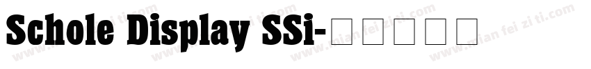 Schole Display SSi字体转换